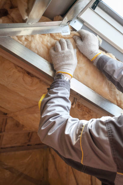 Best Garage Insulation Installation  in Dollar Bay, MI
