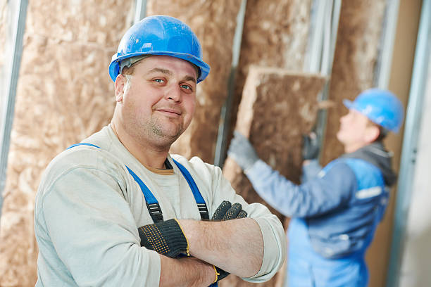 Best Spray Foam Insulation  in Dollar Bay, MI